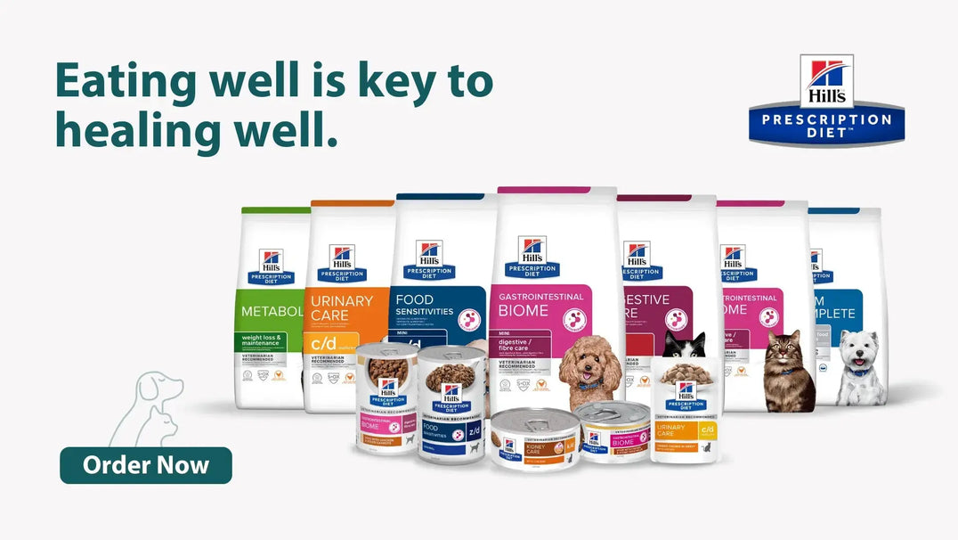 Hills PRESCRIPTION-DIET Intervetclinic UAE