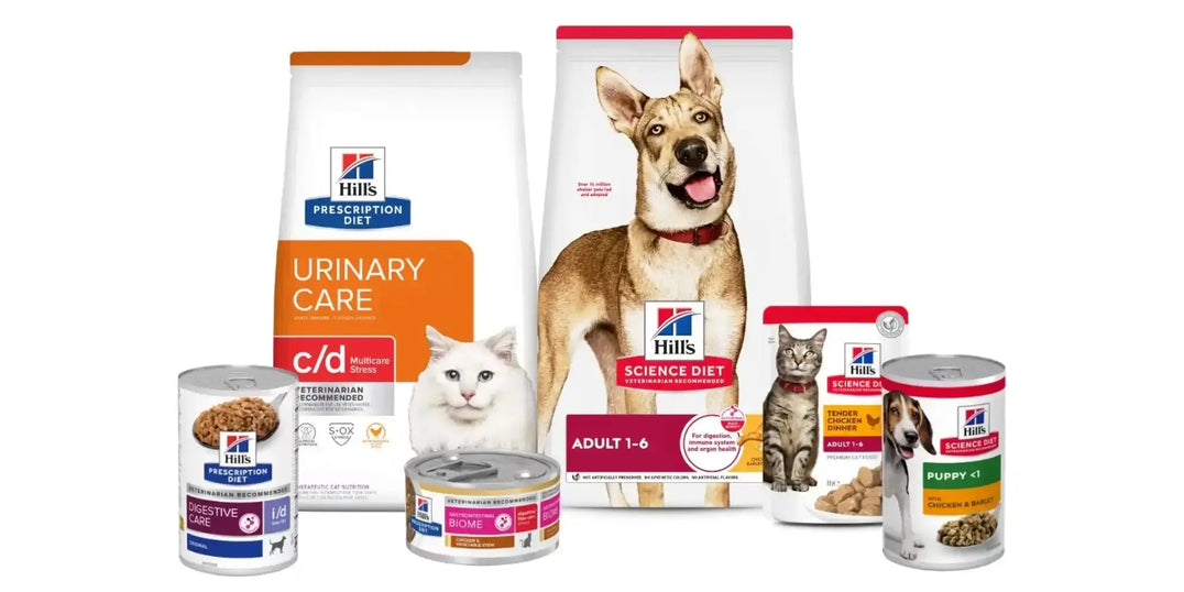 Hills Dry food Intervetclinic