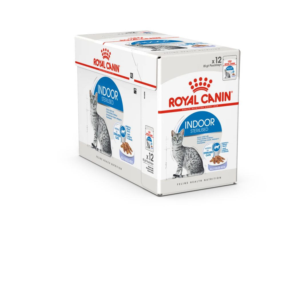 A 12-pack carton of Royal Canin Indoor Sterilised cat food pouches, shown at a three-quarter angle  in intervet UAE