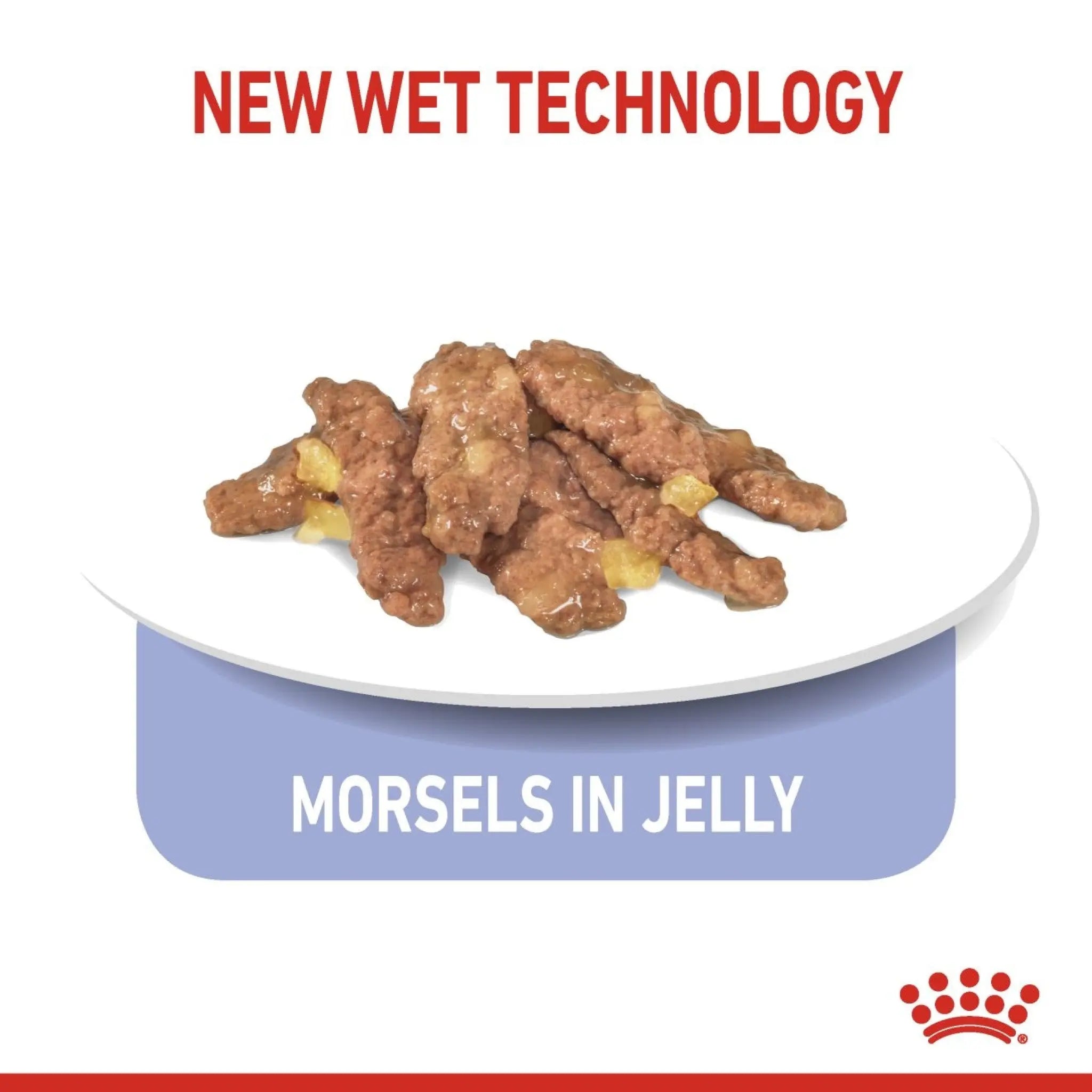 Dog food morsels in jelly on a white plate with 'New Wet Technology' text in intervet UAE