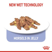 Dog food morsels in jelly on a white plate with 'New Wet Technology' text in intervet UAE