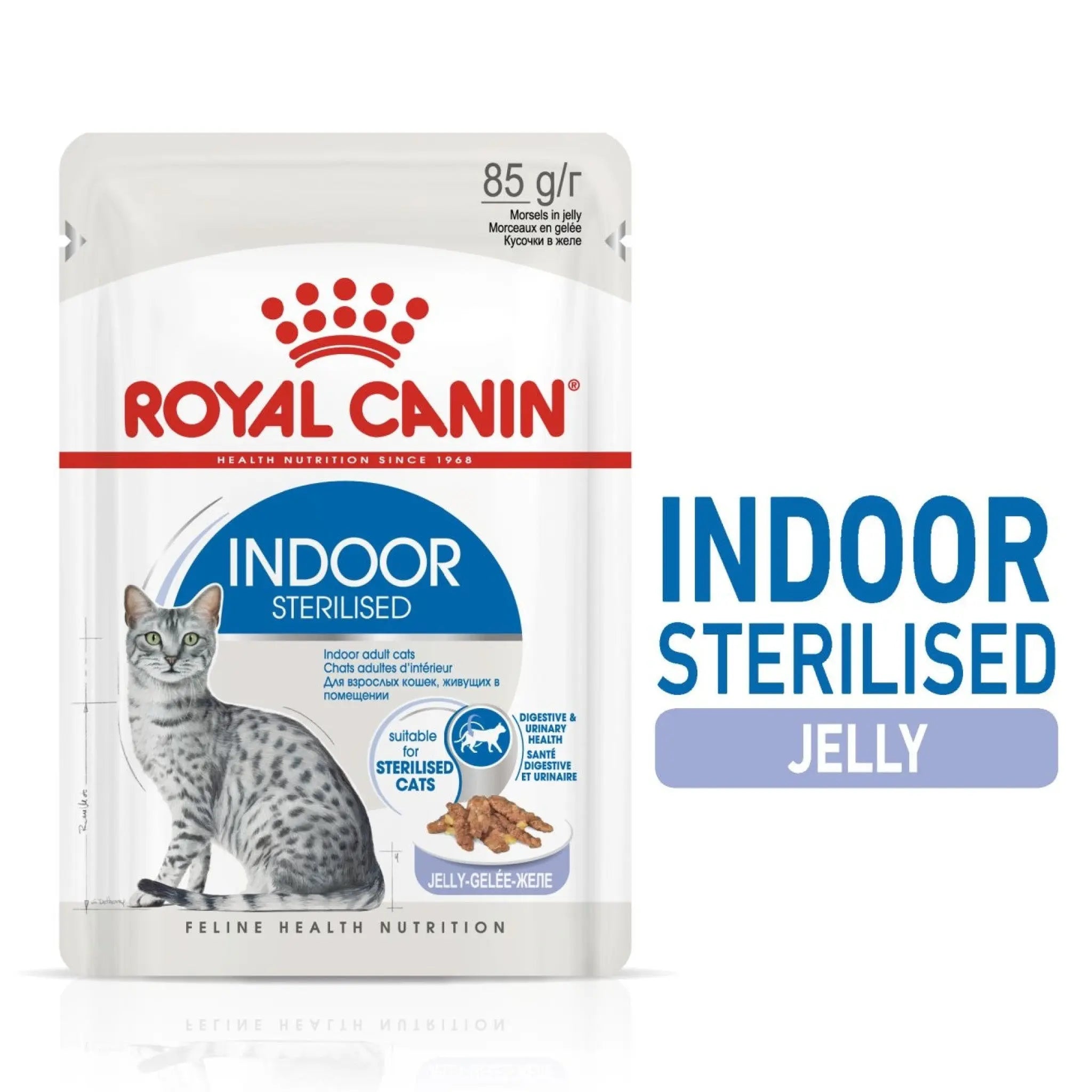Royal Canin Indoor Sterilised Jelly cat food pouch  in intervet UAE