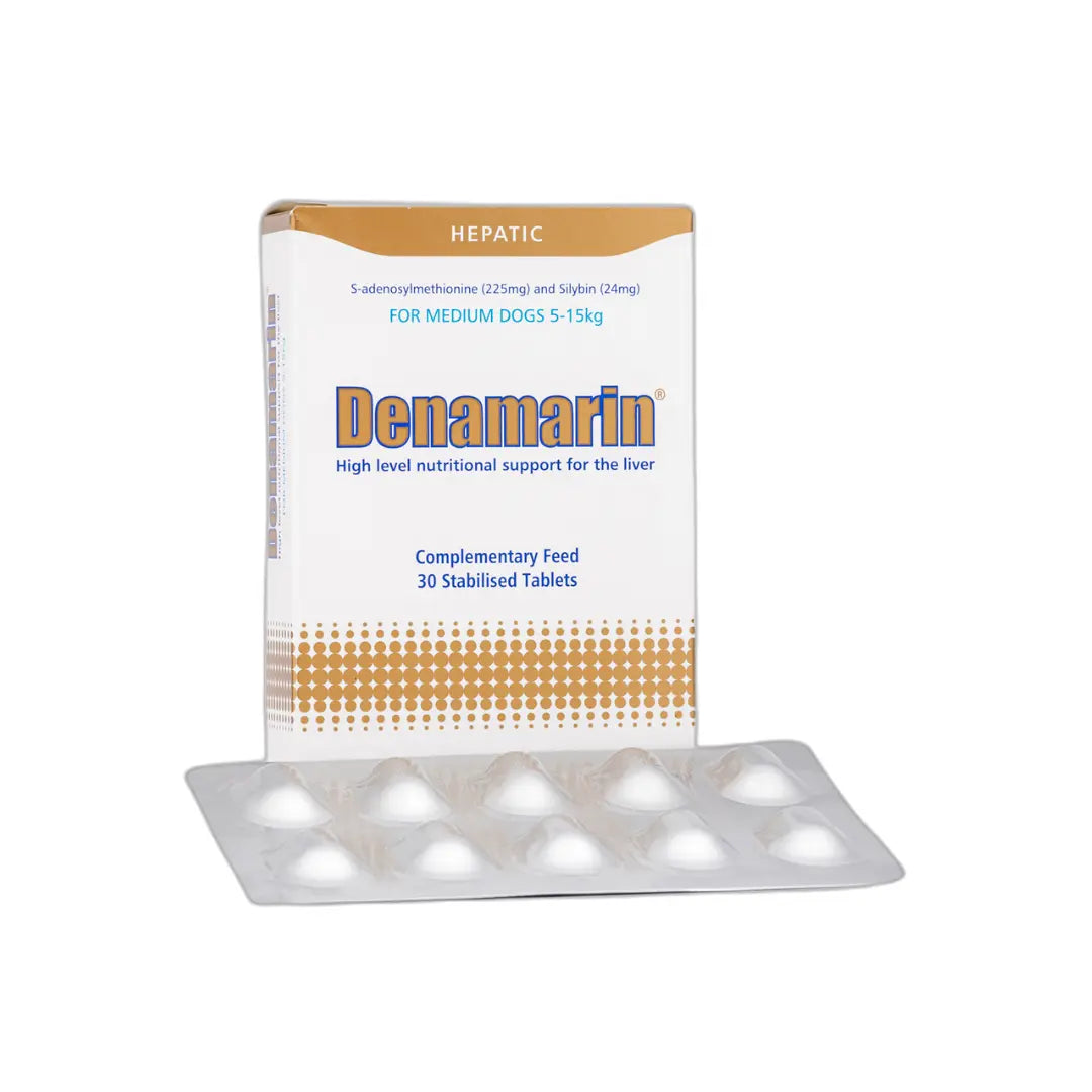 Denamarin 30 Stabilised Tabs Protexin