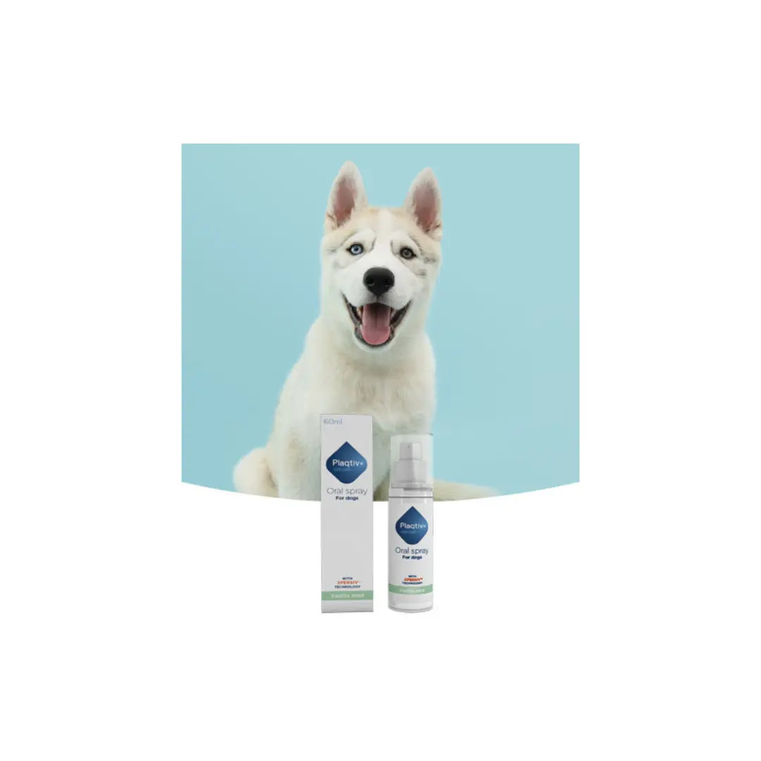 Plaqtiv+® Oral Spray for Dogs 60ml Ecuphar