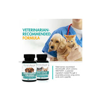 AminAvast Cat and Small Dog Kidney Supplement Supports 60Capsules Amin Avast