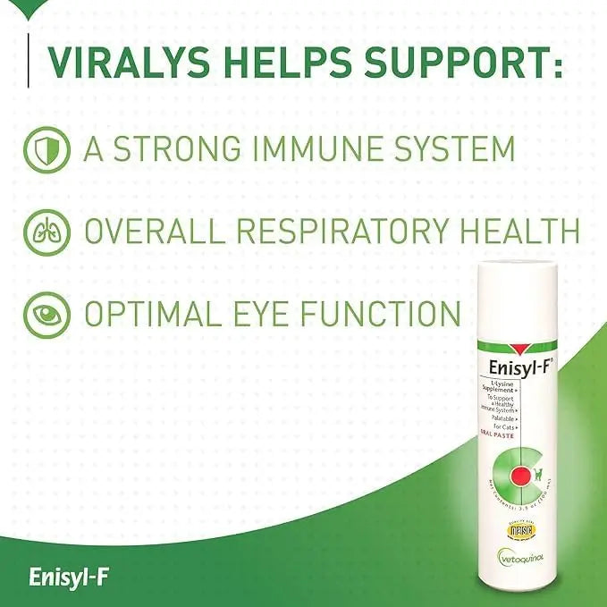 Vetoquinol Enisyl Pump 100ML Vetoquinol
