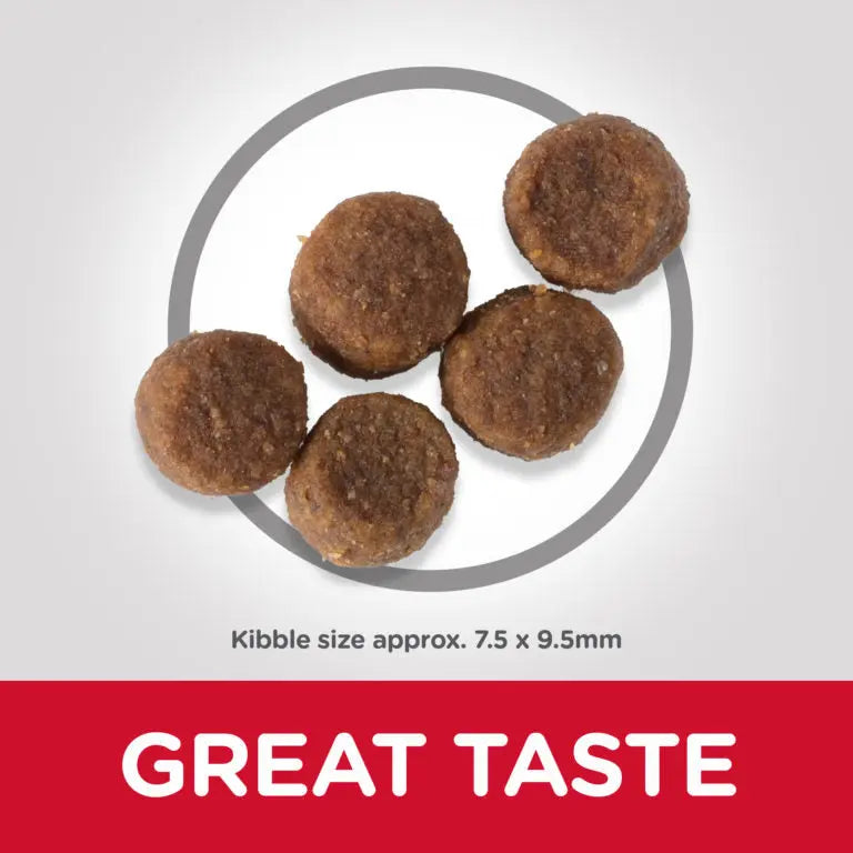 Hill’s Science Plan Medium Puppy Food With Chicken Hills