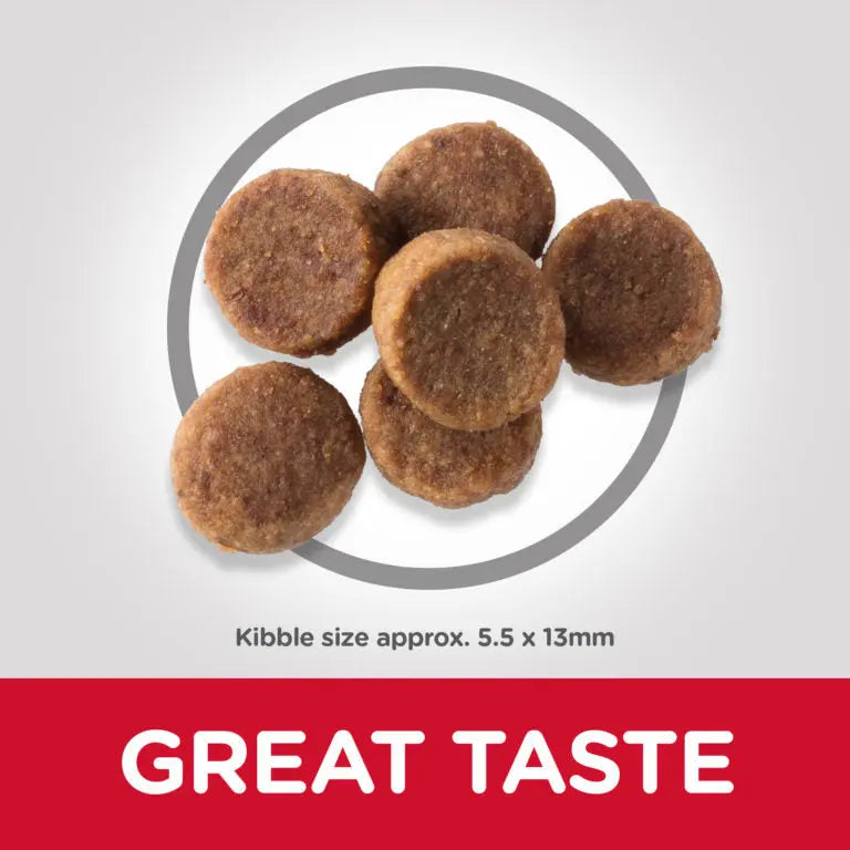 Hill's Science Plan Large Breed Puppt Food with Chicken Hills