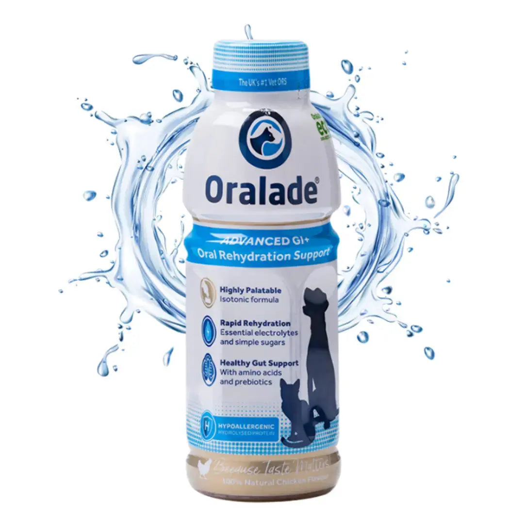 Oralade Advanced GI+ Pet Rehydration Support 500ml Oralade