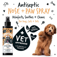 Bugalugs Antiseptic Paw & Nose Spray 200ml (6.8 Fl Oz) Bugalugs