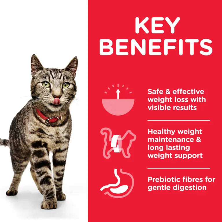 Hill’s Science Plan Perfect Weight Adult Cat Food With Chicken Hills