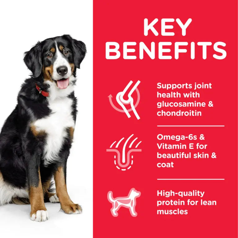 Hill’s Science Plan Large Breed Adult Dog Food With Chicken Hills