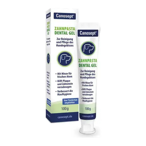 Canosept Dental Care Toothpaste 100g Canosept