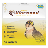 Falcon Wormout 40 Tabs