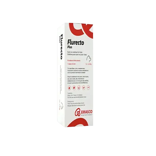 Flurecto Plus Intervetclinic
