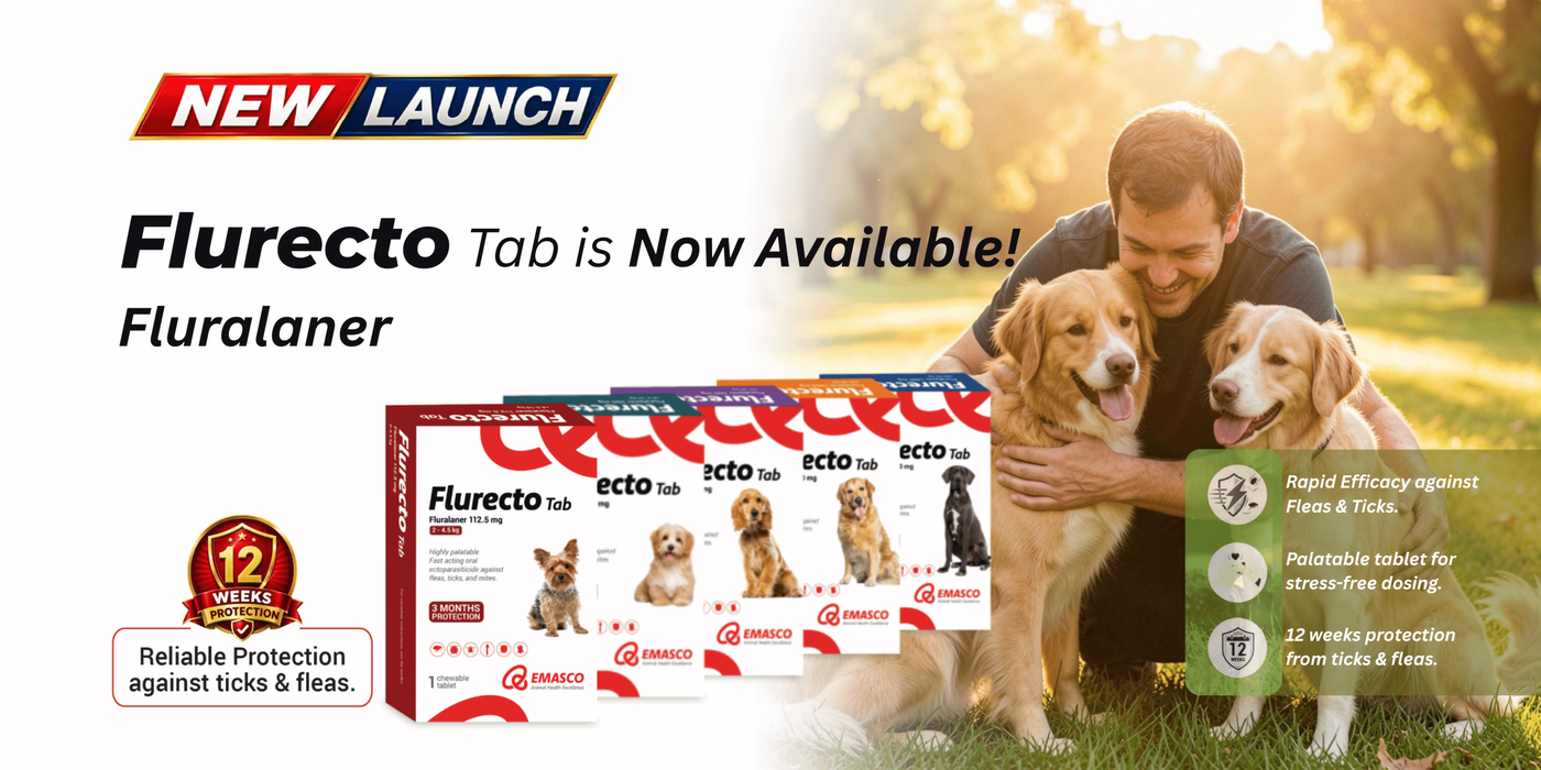 Promotional banner for Flurecto Tab dog flea and tick treatment, showing five boxes of Fluralaner on the left, a man hugging two golden retrievers on the right, and marketing text including 'NEW LAUNCH' and 'Flurecto Tab is Now Available! Fluralaner'.