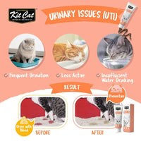 Kit Cat Daily Nutritional Supplement Gel For Cats & Kittens Urinary Care 120g Kit Cat