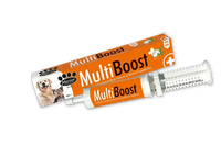 Mervue Multi Boost Paste Mervue