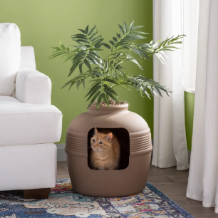 kitty on fun