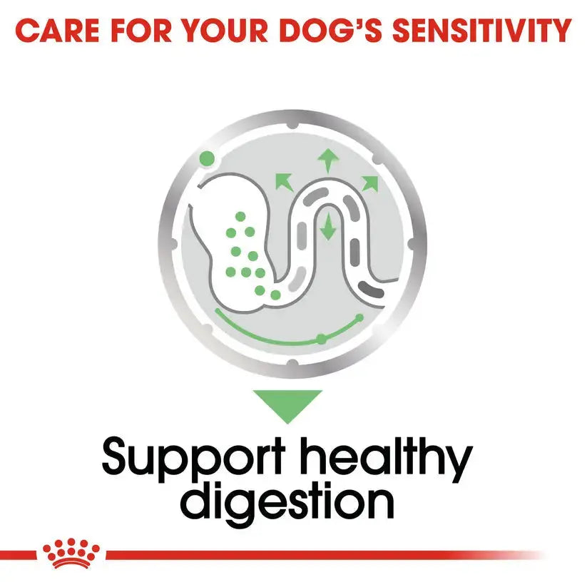 Royal Canin Canine Care Nutrition Digestive Care Wet Food Pouch 12x85g Royal Canin