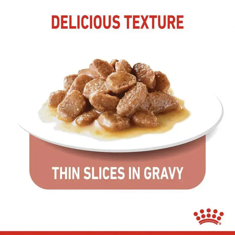 Royal Canin Feline Care Nutrition Light Weight Care Wet Food 85g Royal Canin