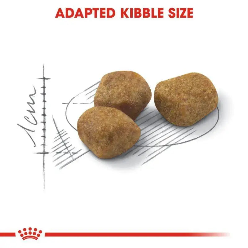 Royal Canin Feline Health Nutrition Fit 32 Royal Canin