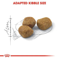 Royal Canin Feline Health Nutrition Fit 32 Royal Canin