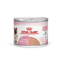 Royal Canin Feline Mother & Babycat Mousse Wet Food Can 195 Royal Canin