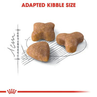 Royal Canin Feline Health Nutrition Sensible Royal Canin