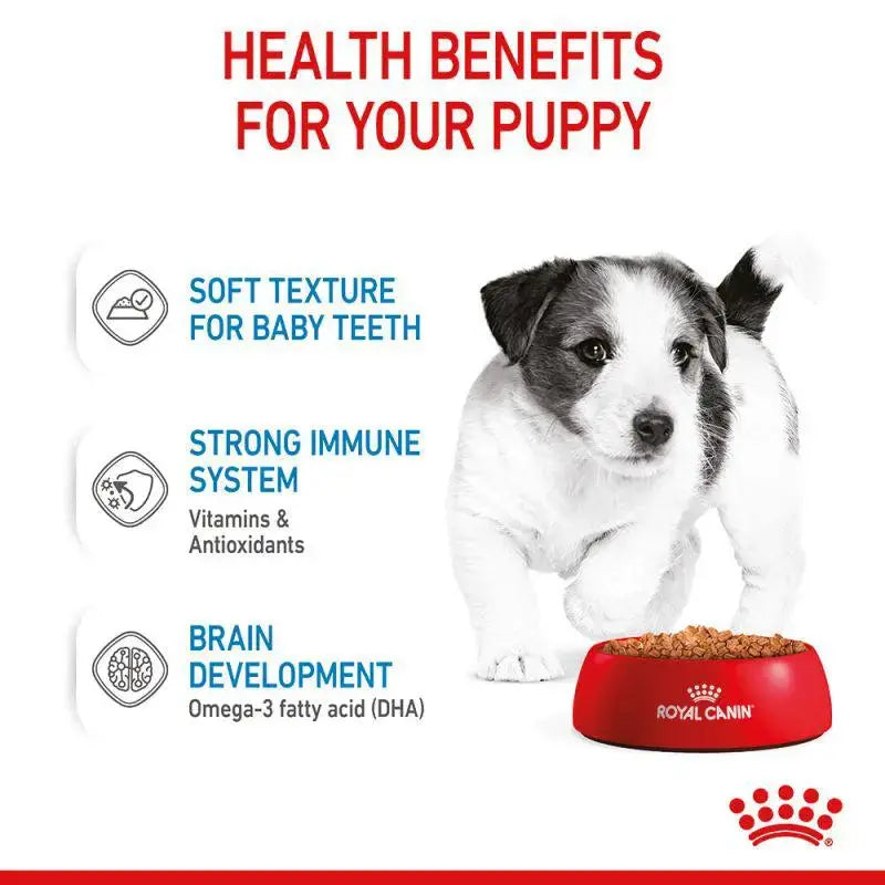 Royal Canin Size Health Nutrition Mini Puppy Wet Food Pouch 10x85g Royal Canin
