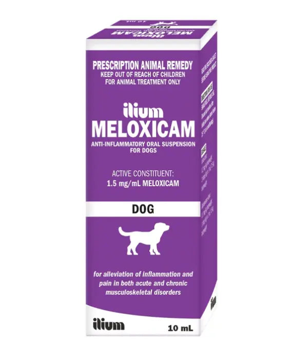Ilium Meloxicam Suspension 1.5 for Dogs 10ml Troy Laboratory
