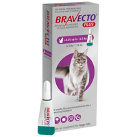 Bravecto Plus for Cats Bravecto Plus