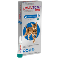 Bravecto Plus for Cats Bravecto Plus