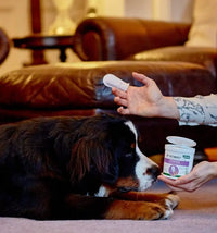 Vet’s Best Clean Ear Finger Pads 50 Pads VET'S BEST