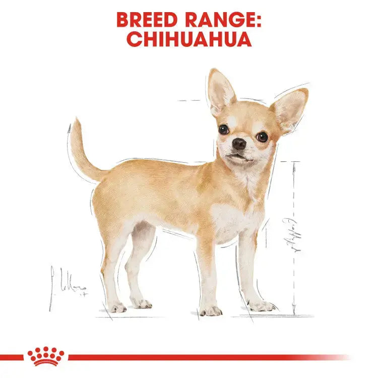 ROYAL CANIN BREED HEALTH NUTRITION CHIHUAHUA ADULT 1.5 KG Royal Canin