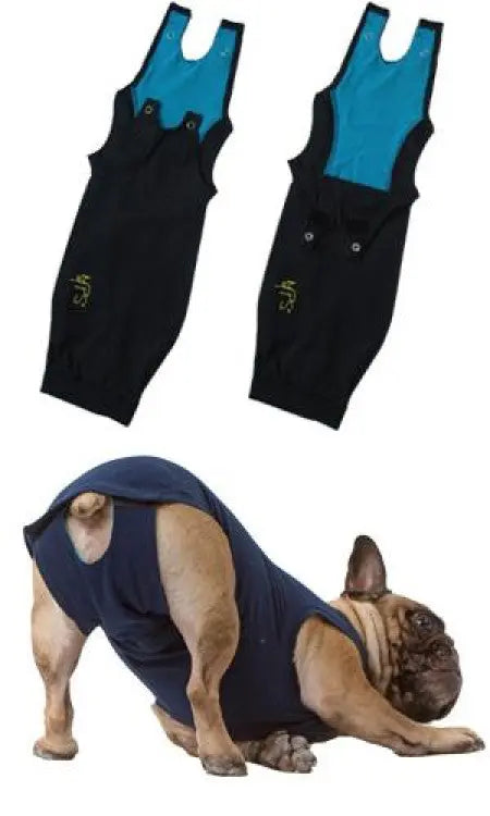 MPS Dog Medical Shirt&nbsp; MPS