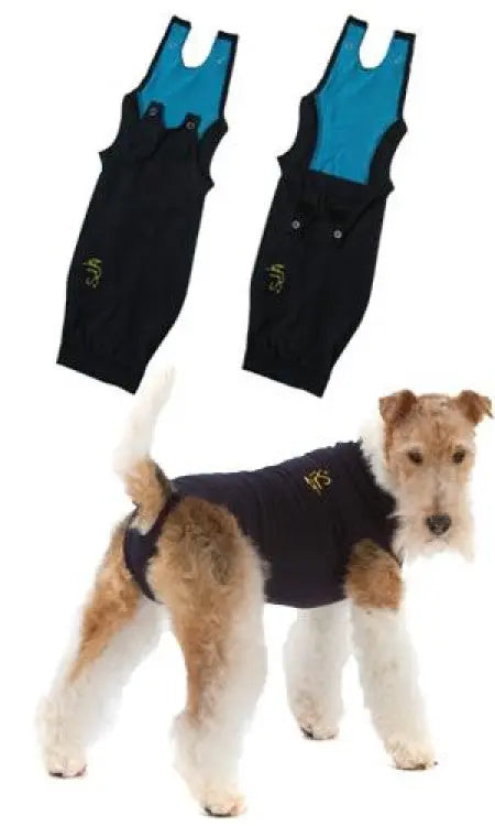 MPS Dog Medical Shirt&nbsp; MPS