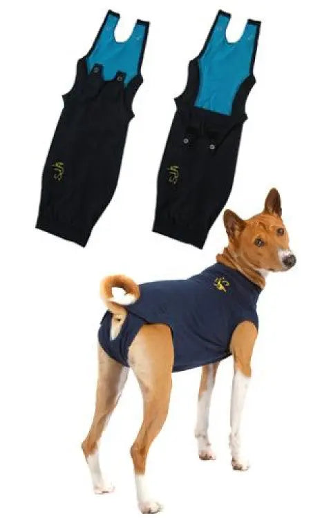 MPS Dog Medical Shirt&nbsp; MPS