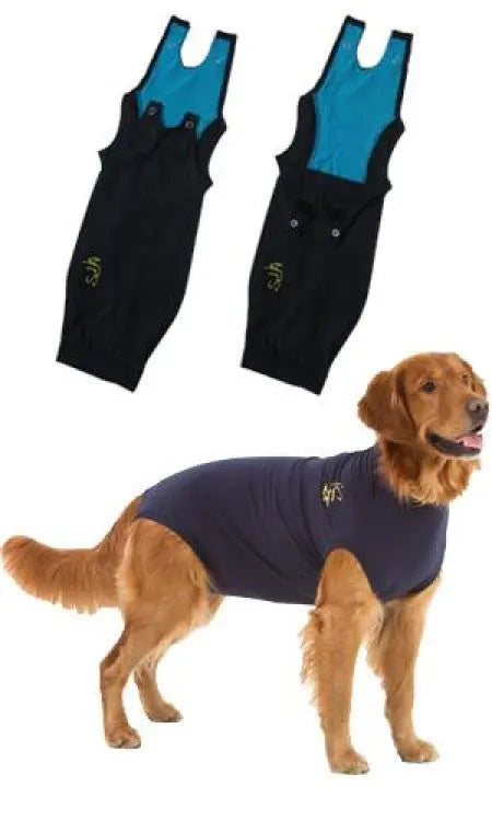 MPS Dog Medical Shirt&nbsp; MPS