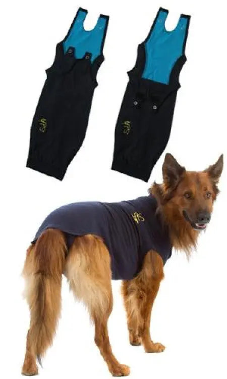 MPS Dog Medical Shirt&nbsp; MPS