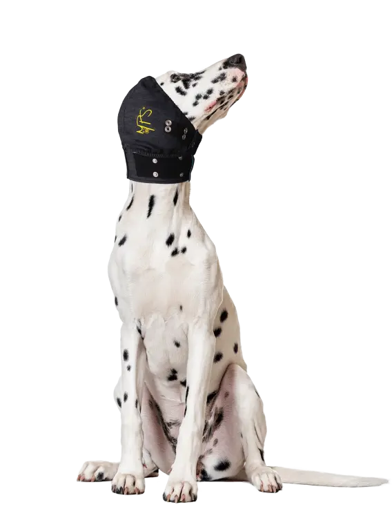 MPS Head Cover MPS