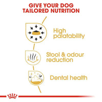 ROYAL CANIN BREED HEALTH NUTRITION CHIHUAHUA ADULT 1.5 KG Royal Canin