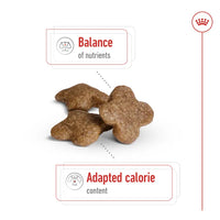 Royal Canin Size Health Nutrition Mini Adult Dog 8+ 2 KG Royal Canin