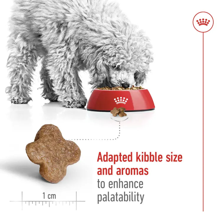 Royal Canin Size Health Nutrition Mini Adult Dog 8+ 2 KG Royal Canin