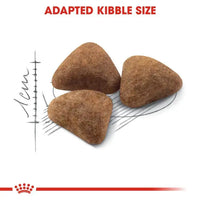 Royal Canin Feline Health Nutrition Indoor 27 Royal Canin