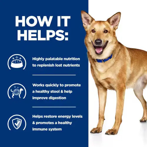 Hill's Prescription Diet i/d Digestive Care Dog Wet Food with Turkey 360g Hills